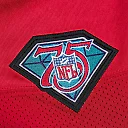 Zennovawear Men's Arizona Cardinals 1994 Aeneas Williams Mitchell & Ness Cardinal Throwback Retired Player Jersey