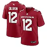 Zennovawear Men's Arizona Cardinals Blake Gillikin Cardinal Team Game Jersey