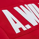 Zennovawear Aeneas Williams Arizona Cardinals 1994 Legacy Replica Jersey - Cardinal