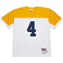 Zennovawear Brett Favre Green Bay Packers 1994 Legacy Replica Jersey - White