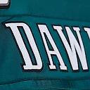 Zennovawear Brian Dawkins Philadelphia Eagles 2007 Authentic Throwback Retired Player Jersey - Green