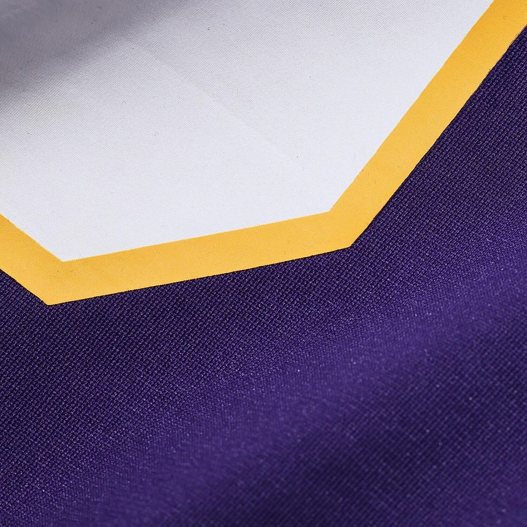 Zennovawear Adrian Peterson Minnesota Vikings Alternate 2 Classic Retired Game Jersey - Purple