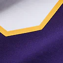 Zennovawear Adrian Peterson Minnesota Vikings Alternate 2 Classic Retired Game Jersey - Purple