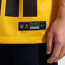Zennovawear Cameron Heyward Pittsburgh Steelers Alternate 1933 Throwback Game Jersey - Gold